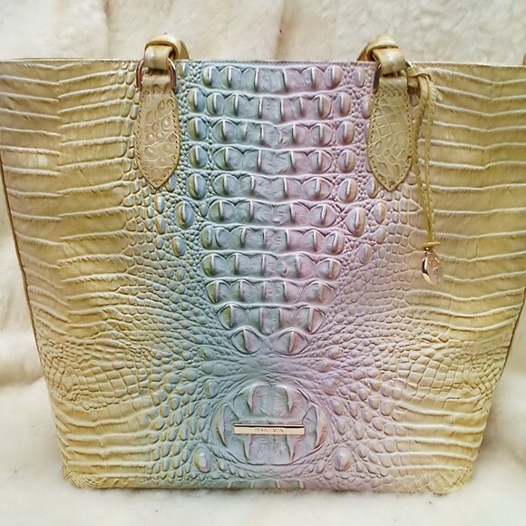 Brahmin Daybreak - Picture 1 of 4